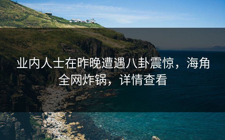 业内人士在昨晚遭遇八卦震惊，海角全网炸锅，详情查看